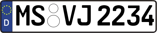 MS-VJ2234