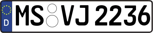 MS-VJ2236
