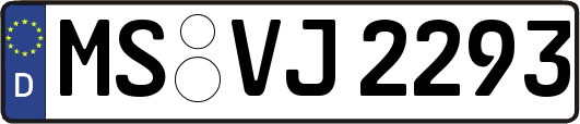 MS-VJ2293