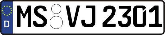 MS-VJ2301