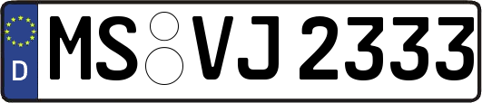 MS-VJ2333