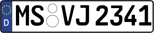 MS-VJ2341