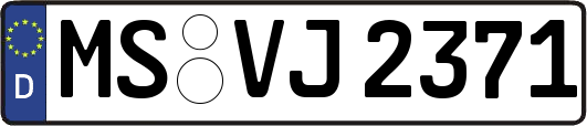 MS-VJ2371
