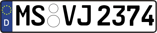 MS-VJ2374