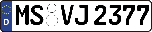 MS-VJ2377