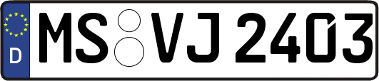 MS-VJ2403