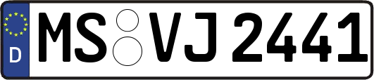 MS-VJ2441
