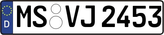MS-VJ2453