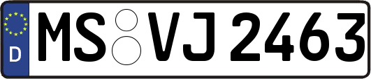 MS-VJ2463