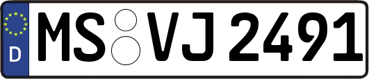 MS-VJ2491