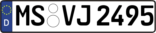 MS-VJ2495