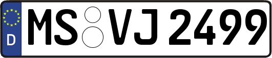 MS-VJ2499