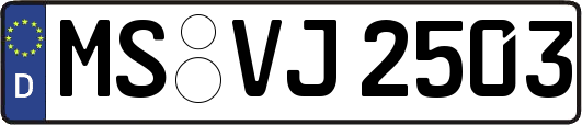 MS-VJ2503