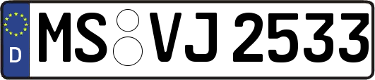 MS-VJ2533