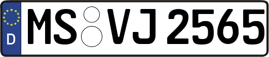 MS-VJ2565