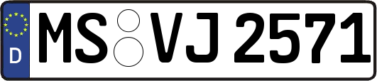 MS-VJ2571