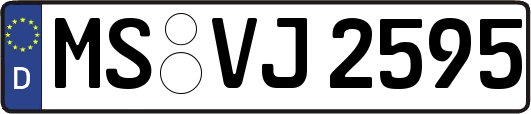 MS-VJ2595