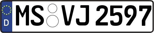 MS-VJ2597