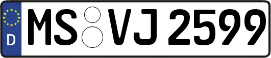 MS-VJ2599