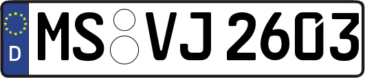 MS-VJ2603