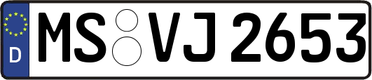 MS-VJ2653