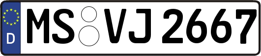 MS-VJ2667