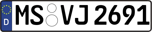 MS-VJ2691