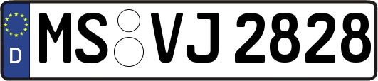 MS-VJ2828