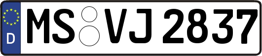 MS-VJ2837