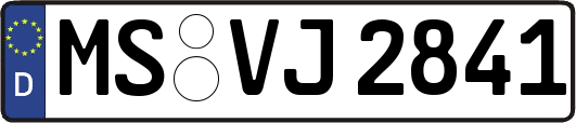 MS-VJ2841