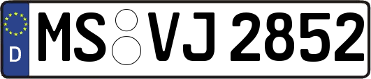 MS-VJ2852