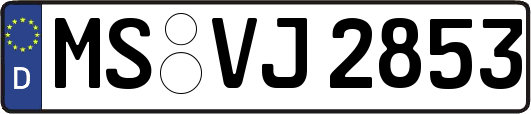 MS-VJ2853