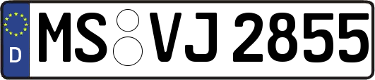 MS-VJ2855