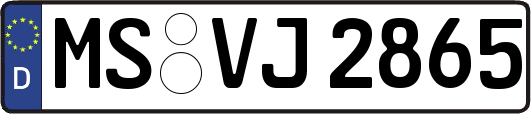MS-VJ2865
