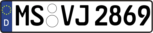 MS-VJ2869