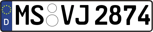 MS-VJ2874