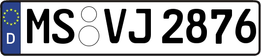 MS-VJ2876
