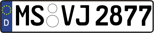 MS-VJ2877