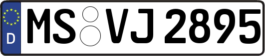 MS-VJ2895