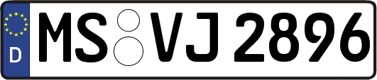 MS-VJ2896