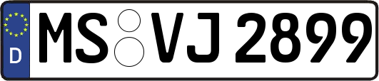 MS-VJ2899