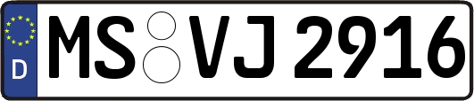 MS-VJ2916