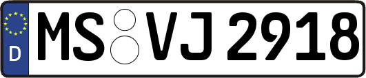 MS-VJ2918