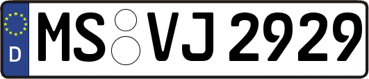 MS-VJ2929