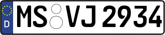 MS-VJ2934