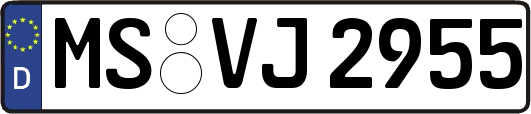 MS-VJ2955