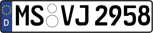 MS-VJ2958