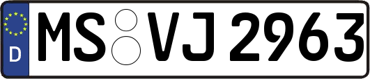 MS-VJ2963
