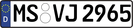 MS-VJ2965