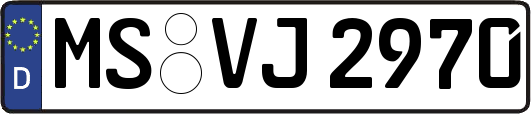 MS-VJ2970